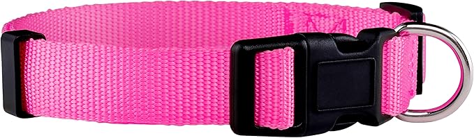 Native Pup Basic Nylon Dog Collar, Adjustable by NativePup