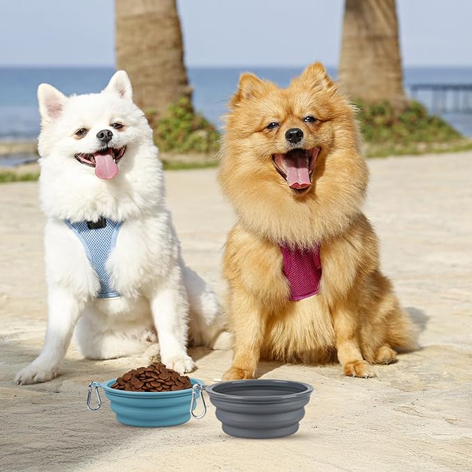 Kytely Collapsible Dog Bowls for Travel, Foldable Pet Food Bowl - Image 3