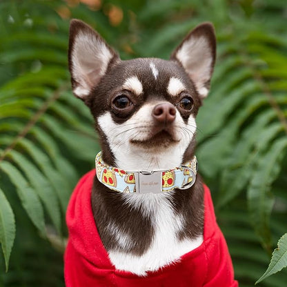 Unique style paws Dog Collar Metal Buckle Pizza Collar Gift Durable Cute Collar - Image 4