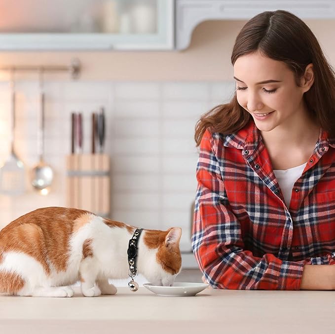 Baeuppit 2PCS Breakaway Cat Collars - Image 5