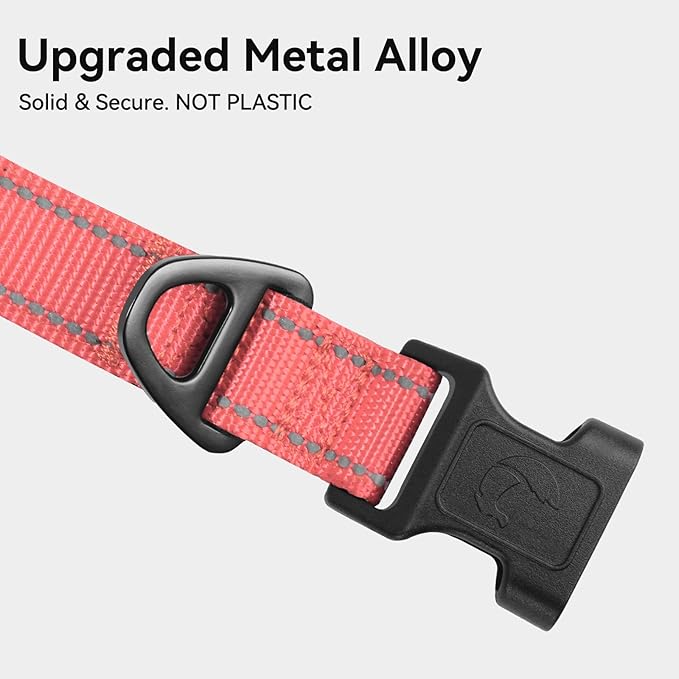Joytale Reflective Dog Collar, Soft Neoprene Padded, Metal D-Ring, Nylon Pet - Image 3