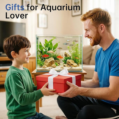 AQQA Automatic Fish Feeder for Aquarium, 200ML Large Capacity Fish Food - Image 7