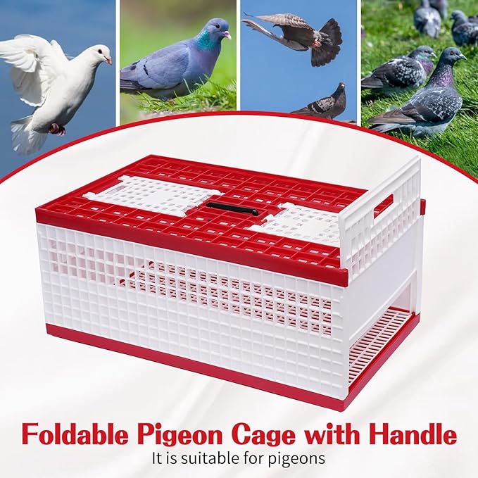 Racing Pigeon Carrier Box - Image 6