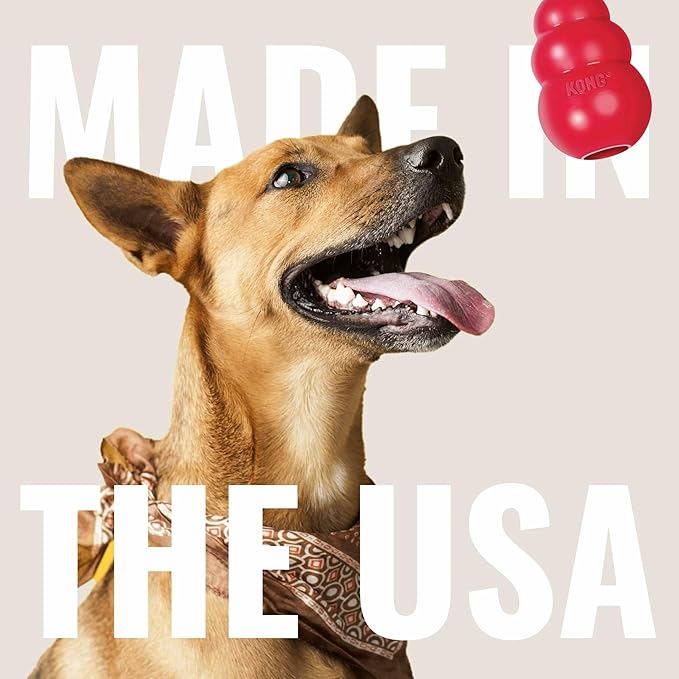 KONG Classic Stuffable Dog Toy - Image 8
