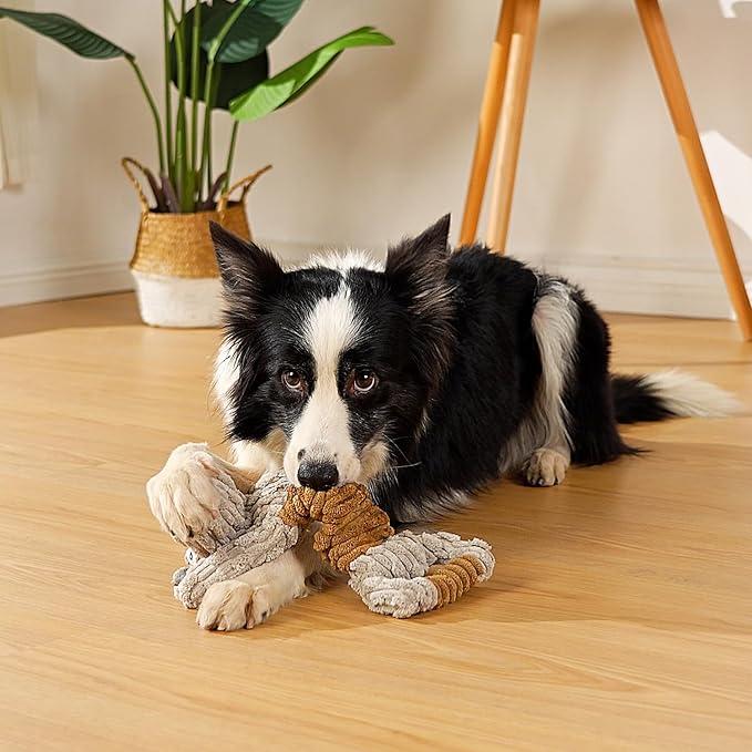 Tug of War Dog Toy, Crinkle Dog Toys - Image 5