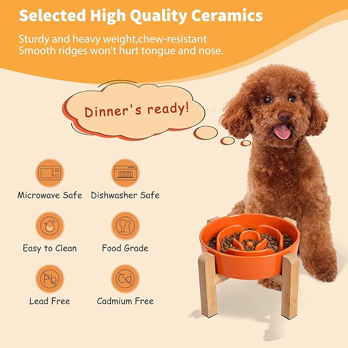 Elevated Slow Feeder Dog Bowl - Image 5