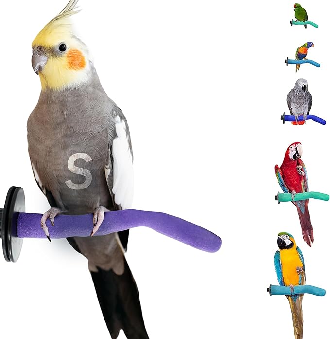 Sweet Feet and Beak Safety Pumice Perch by SweetFeetBeak