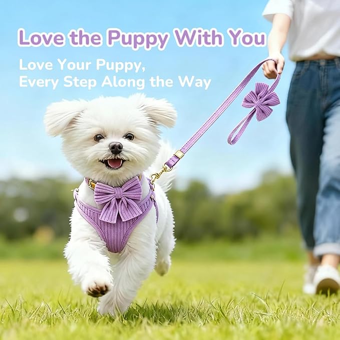 Small Dog Collar Harness and Leash Set - Image 9