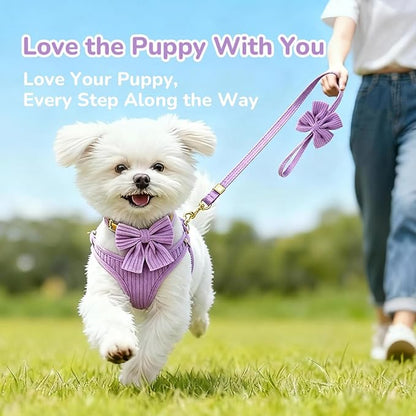 Small Dog Collar Harness and Leash Set - Image 9