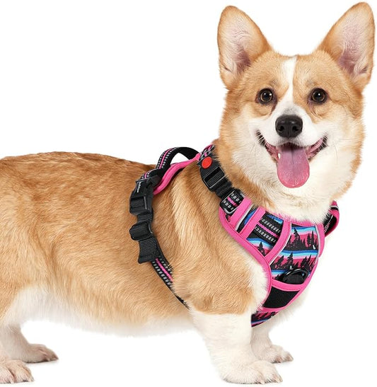 rabbitgoo Dog Harness Small Sized, No Pull Easy On & Off by rabbitgoo