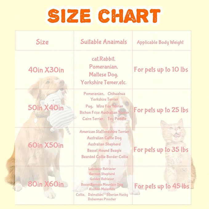 Customized Dog Blanket with Name - Image 4