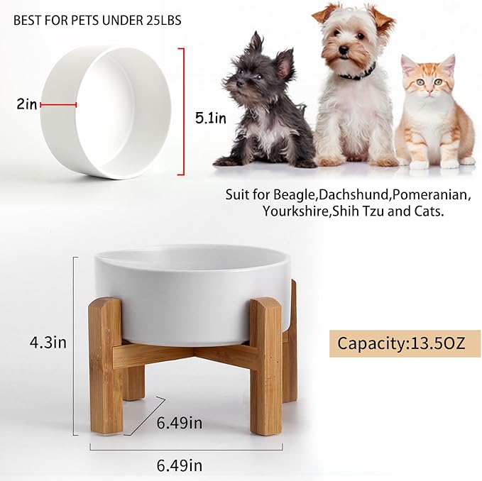 Petygooing White Elevated/Raised Ceramic Dog Bowl - Image 3
