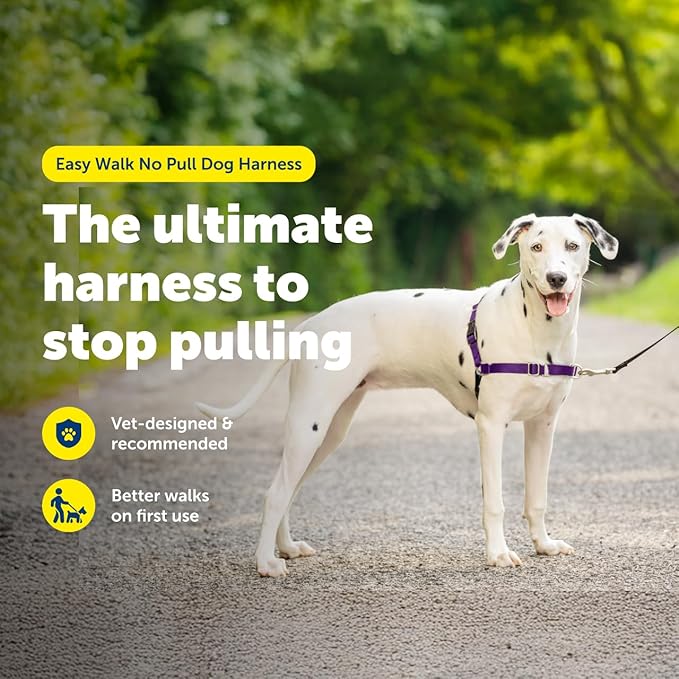 PetSafe Easy Walk No-Pull Dog Harness - Image 2