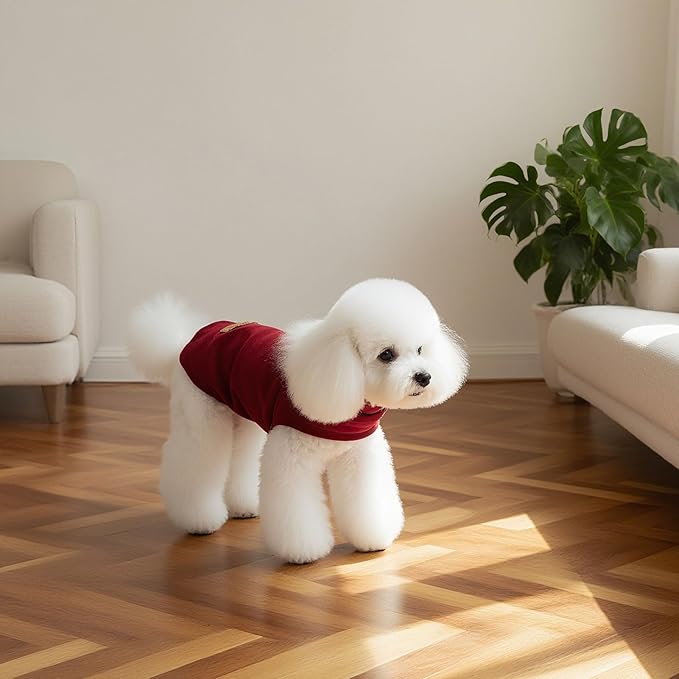 EXPAWLORER Soft Cat Sweater - Image 6