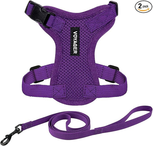 Voyager Escape-Proof Step-in Lock Cat Harness & 5ft Neoprene-Handle Leash Set by BestPetSuppliesLLC