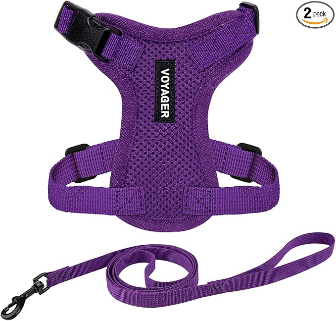 Voyager Escape-Proof Step-in Lock Cat Harness & 5ft Neoprene-Handle Leash Set by BestPetSuppliesLLC