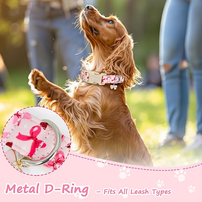 Adjustable Girl Dog Collars - Image 2