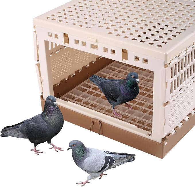 Plastic Foldable Pigeon Cage - Image 7