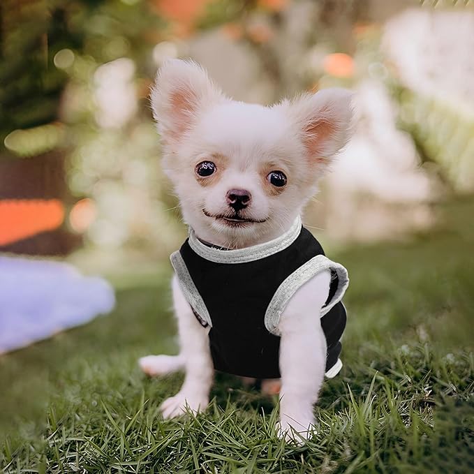4 Pieces Dog Clothes for Small Dogs Girl Boy Summer Puppy Clothes for Chihuahua - Image 7