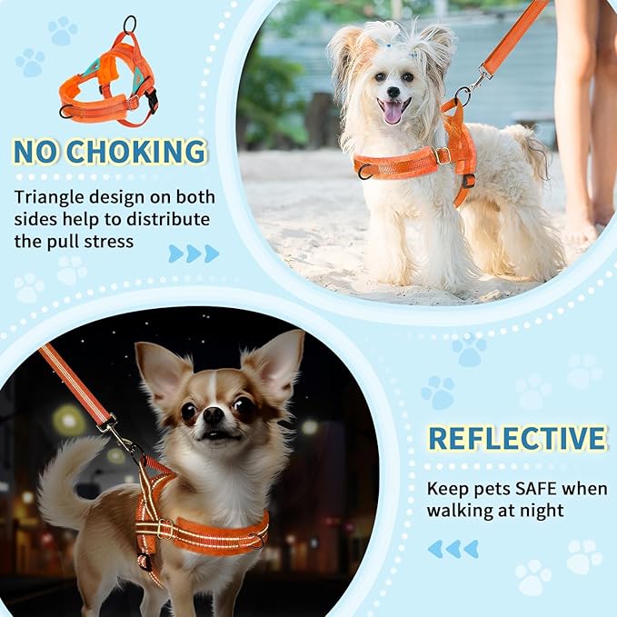 Lukovee No Pull Dog Harness and Leash Set, Soft Padded Small Dog Harness - Image 6