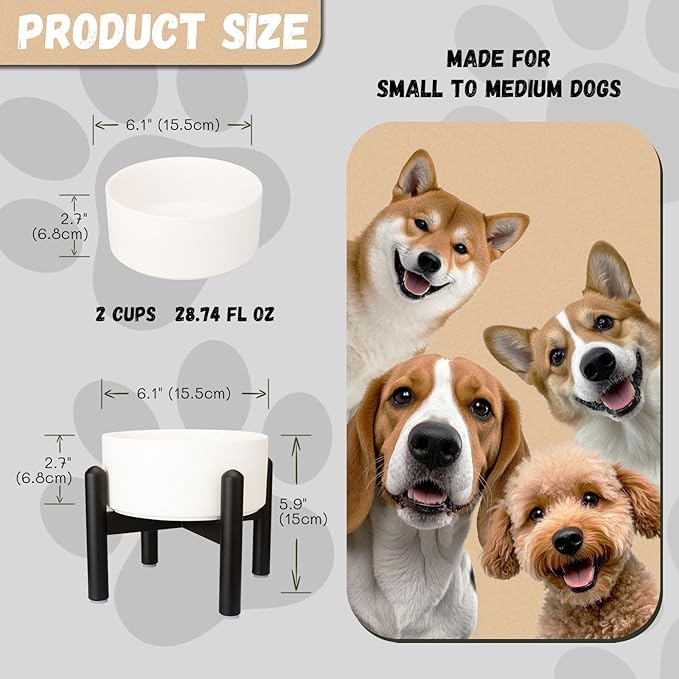Raised Ceramic Dog Bowl, 6.1'' Modern Feeding Bowl - Image 2