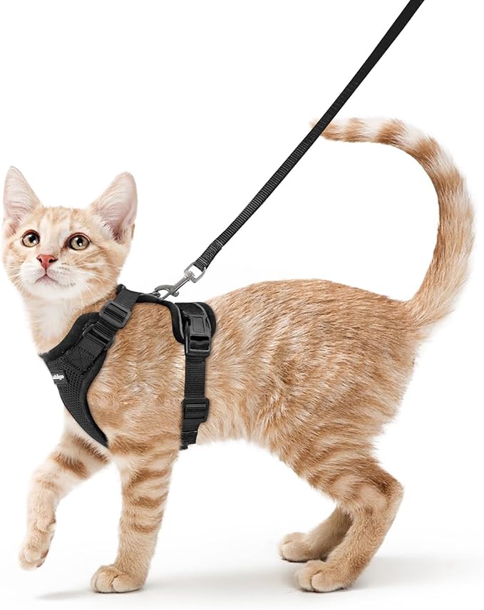rabbitgoo Cat Harness and Leash Set, Escape Proof Vest Harness by rabbitgoo