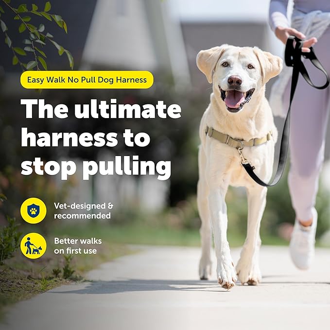 PetSafe Easy Walk No-Pull Dog Harness - Image 2