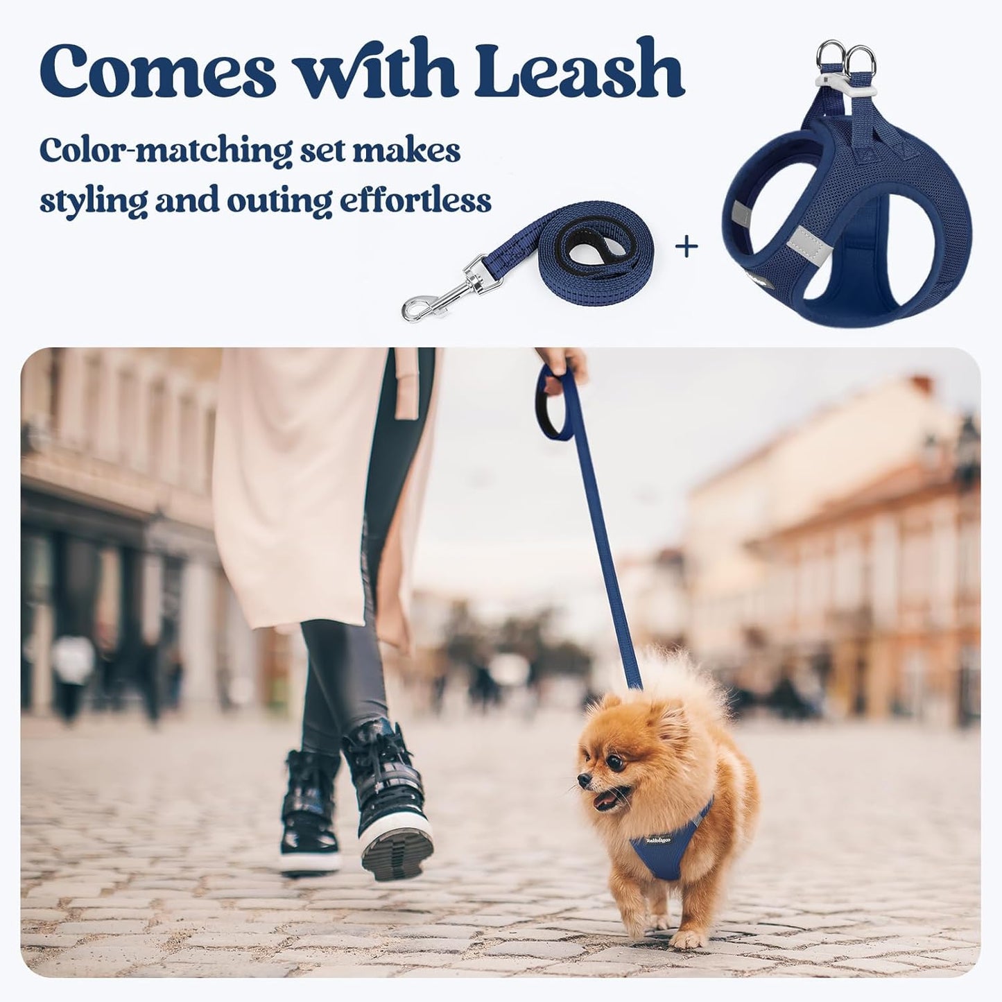 rabbitgoo Dog Harness Small Medium Sized and Leash Set, Step in Soft Light Puppy Vest, Breathable Mesh Pet Harness, Reflective for Safe Outdoor Walking, Navy Blue L
