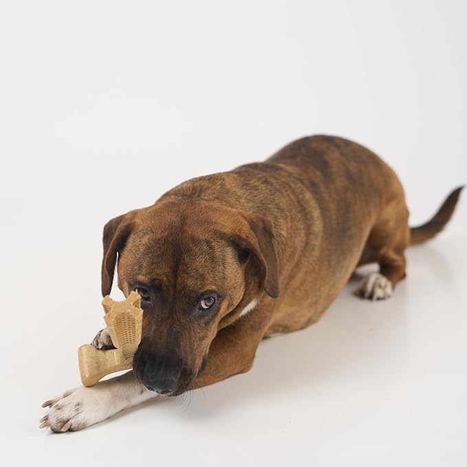 SPOT Bam-Bones Plus T-Bone Dog Chew Toy, Bamboo Fiber & Nylon, Chicken Flavor - Image 14