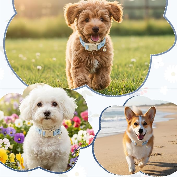 Dog Collar with Floral Patterns, Spring Summer Collection Blue Dog Collar with - Image 6