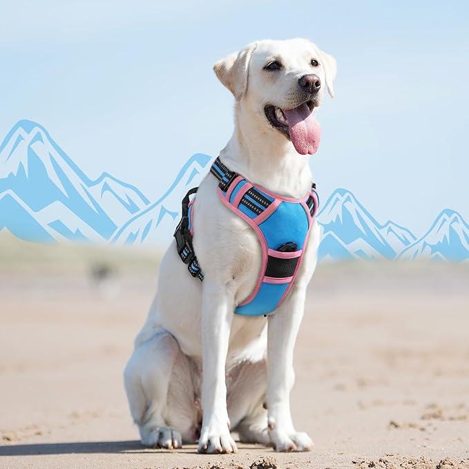 Eagloo Dog Harness for Large Dogs, No Pull Service Vest - Image 8