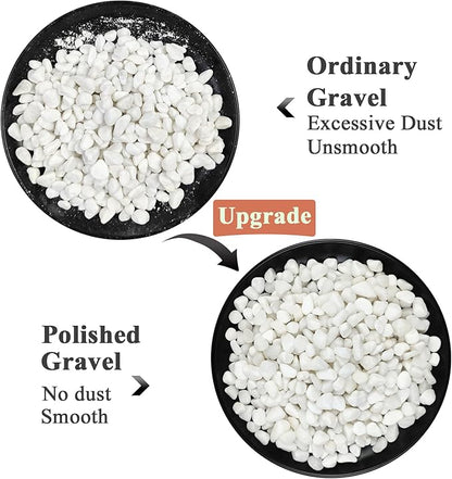 FANTIAN 10 lbs White Pebbles for Indoor Plants, 3/8 Inch Decorative White - Image 3