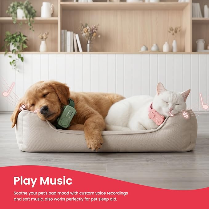 Smart Dog GPS Tracker Support 2-Way PetChat & AI Health Alerts Live Pet Tracker - Image 5