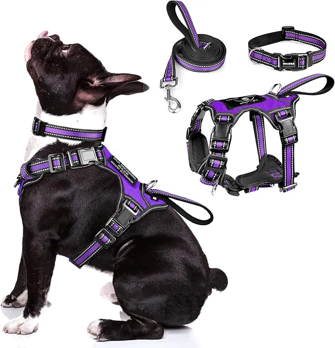 WINSEE Pet Harness Collar and Leash Set, All-in-one Reflective Dog Harness No by WINSEE