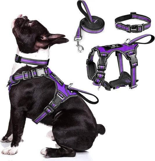 WINSEE Pet Harness Collar and Leash Set, All-in-one Reflective Dog Harness No by WINSEE