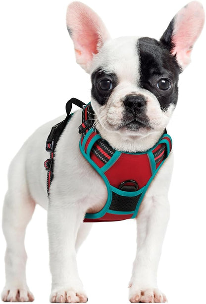 rabbitgoo Dog Harness No Pull by rabbitgoo