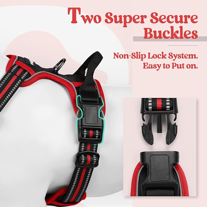 rabbitgoo Dog Harness No Pull - Image 3