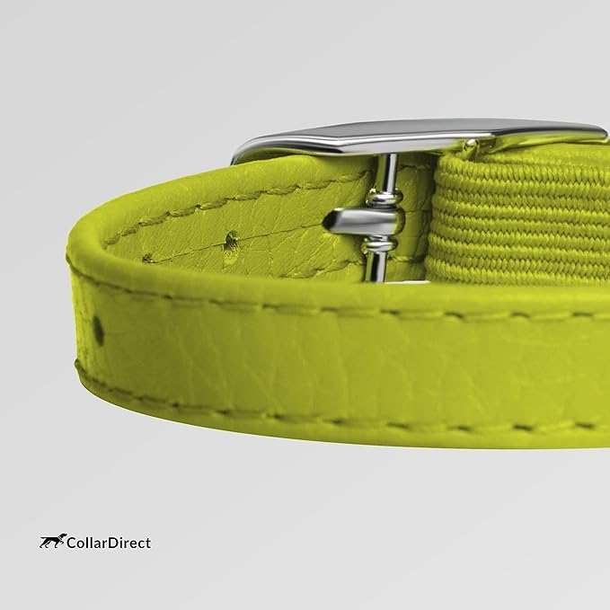 CollarDirect Leather Cat Collar - Image 4
