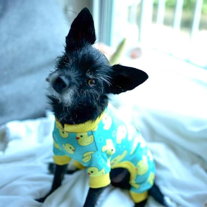 KYEESE Dog Pajamas Velvet Dog Pajamas Small Sized Dogs Dogs Pjs - Image 9