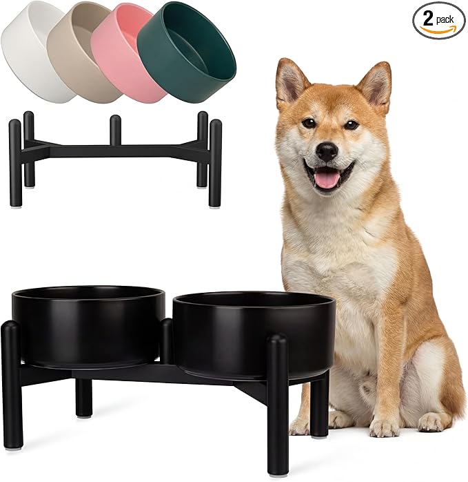 Raised Ceramic Dog Bowl Set by PTOBER