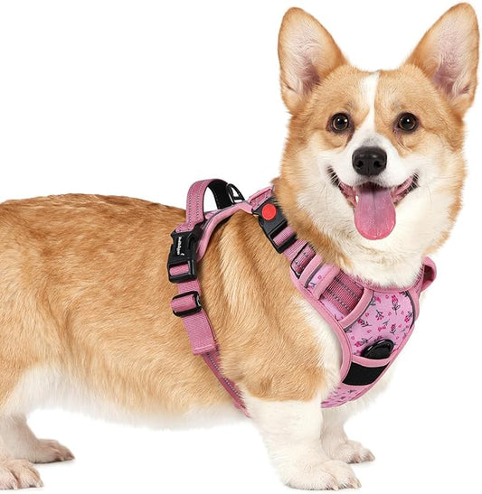 rabbitgoo Dog Harness Small Sized, No Pull Easy On & Off by rabbitgoo