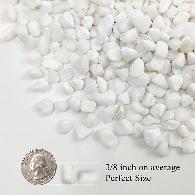 FANTIAN 5 lbs White Pebbles for Indoor Plants, 3/8 Inch Decorative White Gravel - Image 2