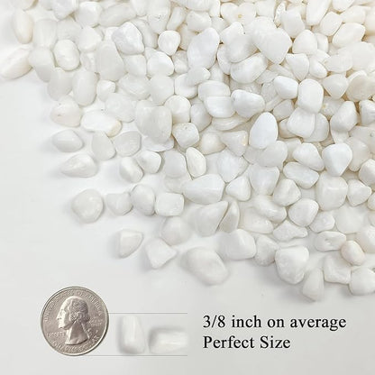 FANTIAN 5 lbs White Pebbles for Indoor Plants, 3/8 Inch Decorative White Gravel - Image 2