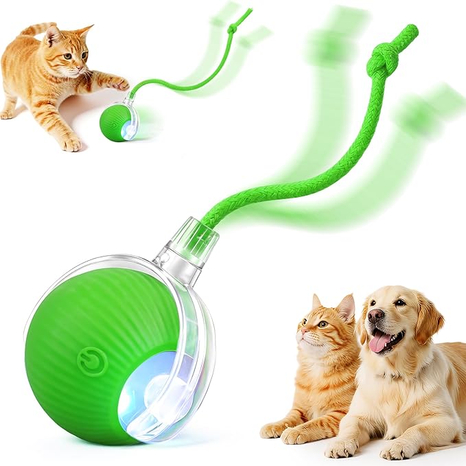 Smart Interactive Automatic Electric Rolling Moving Rechargeable Motion by Unknown