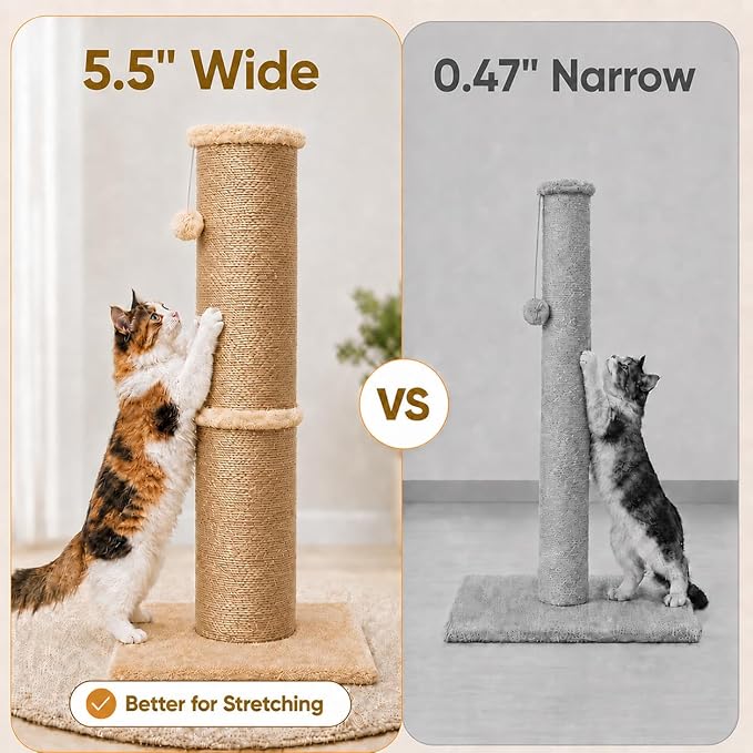 PAWSCRAT Cat Scratching Post 32 Inch High, 5.5 Inch Large Diameter Natural - Image 4