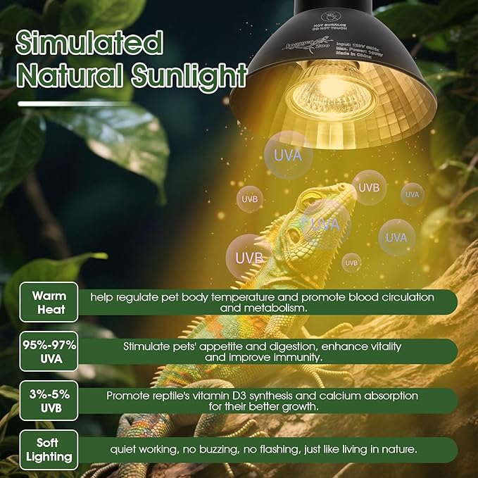 Reptile Heat Lamp Reptile Light Fixture 2Inch Shallow Dome - Image 2