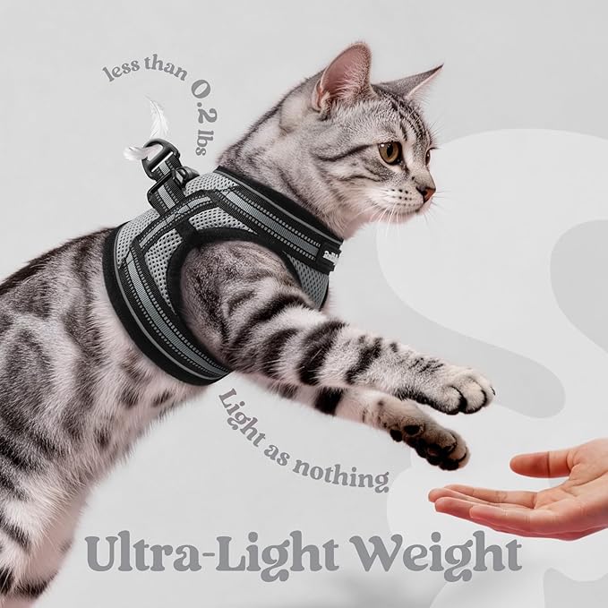 rabbitgoo Cat Harness and Leash, Step-in Escape Proof Kitten Harness Set - Image 6
