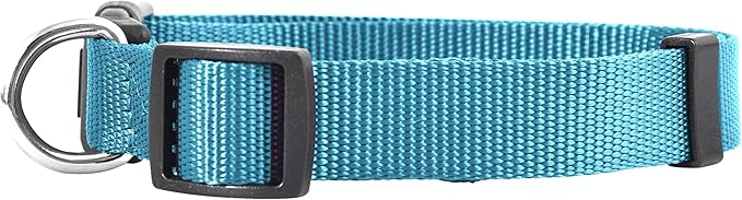 Native Pup Basic Nylon Dog Collar, Adjustable - Image 2