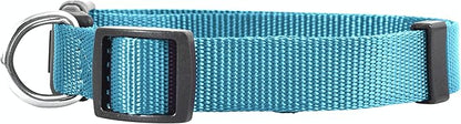 Native Pup Basic Nylon Dog Collar, Adjustable - Image 2