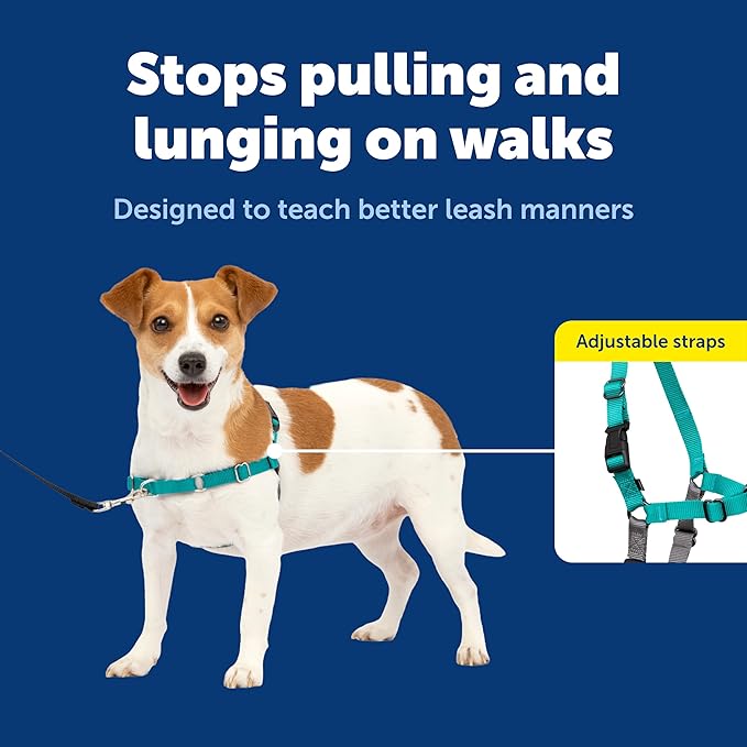 PetSafe Easy Walk No-Pull Dog Harness - Image 3